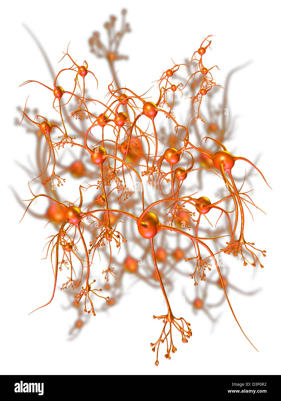 Computer-generierte Abbildung aus einem Netzwerk von Neuronen Stockfoto