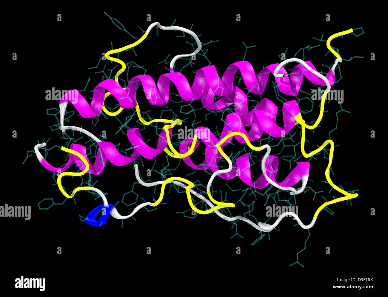 Computer Grafik Illustration des menschlichen Wachstumshormons Moleküls Stockfoto