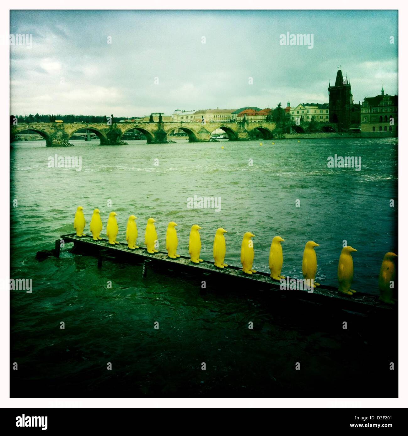7. Februar 2013 - Prag, Tschechische Republik - Skulptur von 34 gelb leuchtende Pinguine durch die italienischen '' Cracking Art Group'' im Rahmen der Ausstellung "Re-Evolution'' in Prag, Malá Strana, Kampa... Prag, die Hauptstadt der Tschechischen Republik ist. Heimat einer Reihe von berühmten kulturelle Attraktionen wie Prager Burg, Karlsbrücke, Altstädter Ring, das jüdische Viertel, Lennon-Mauer und Pet? ein Hügel. Rund 5 Millionen Besucher pro Jahr gehen die umfangreiche historische Zentrum von Prag, die in die UNESCO-Liste des Weltkulturerbes, mit dem Iphone fotografiert enthalten ist Hipstamatic app, Prag, Tschechische R Stockfoto