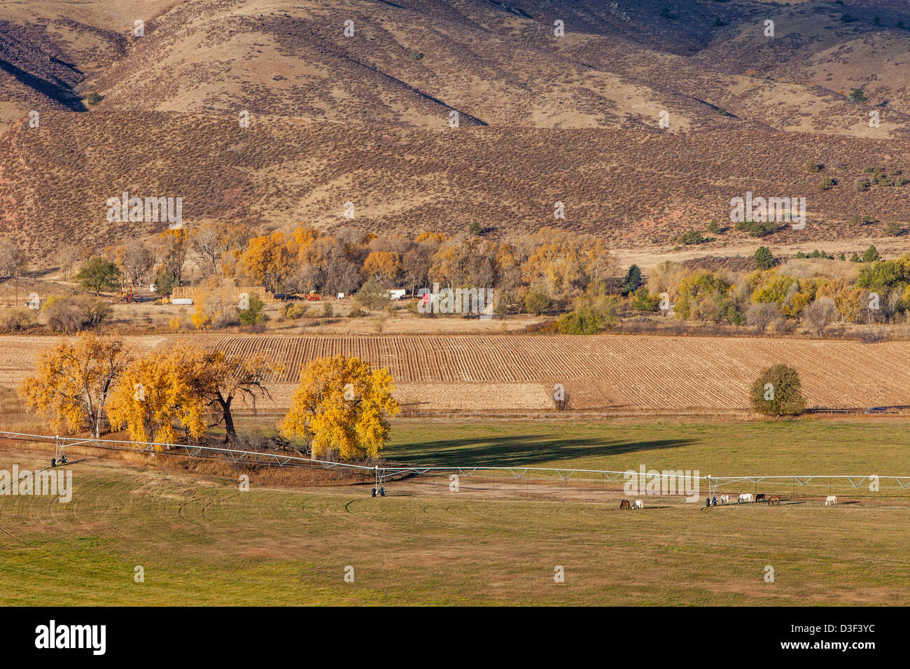 Ackerland bei Ausläufern der Rocky Mountains im Belvue in der Nähe von Fort Collins, Colorado; Herbst-Landschaft bei Sonnenaufgang Stockfoto