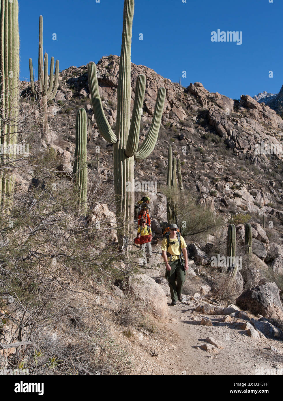 Die südlichen Arizona Rescue Association Teammitglieder Abstieg aus den Bergen nach hinauf, ein Opfer zu helfen. Stockfoto