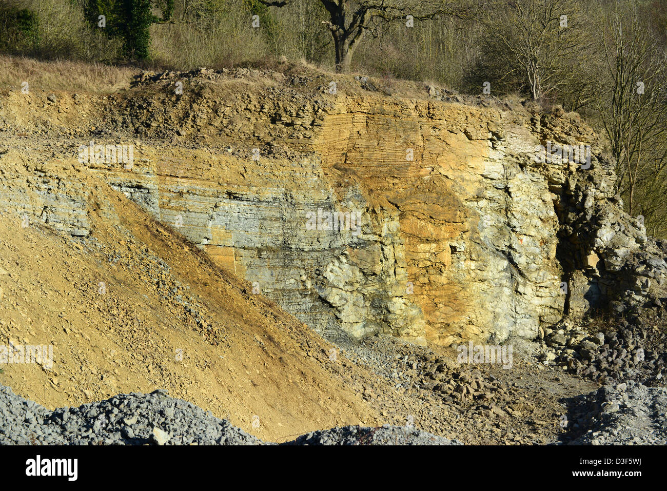 Kalksteinschichten, die durch den Steinbrüchen von Wenlock Edge in Shrosphire England UK freigelegt wurden. Sedimentgesteinsbildung Stockfoto