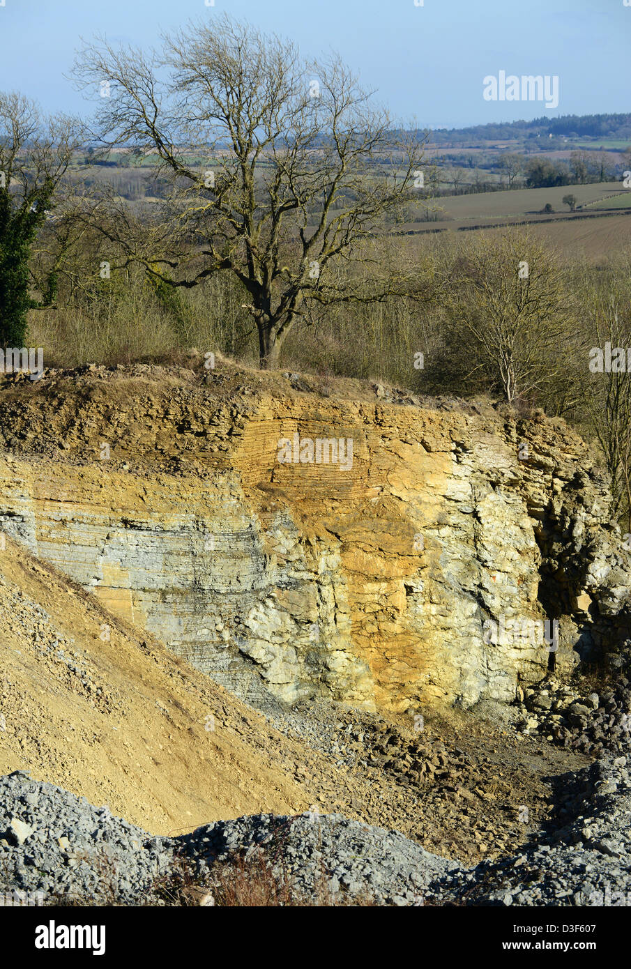 Kalksteinschichten, die durch den Steinbrüchen von Wenlock Edge in Shrosphire England UK freigelegt wurden. Sedimentgesteinsbildung Stockfoto