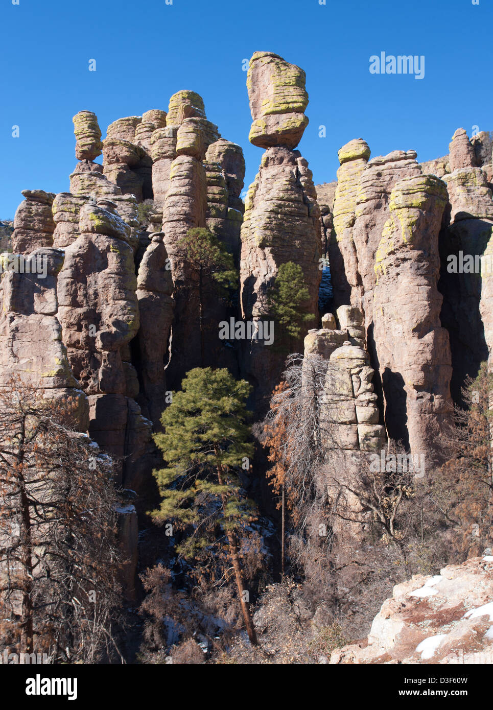 Chiricahua National Monument im winter Stockfoto