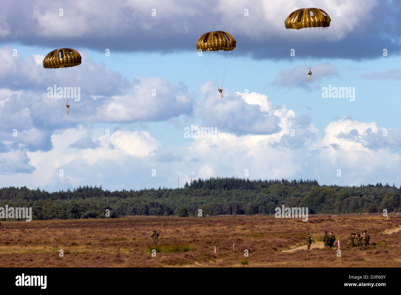 Fallschirmjäger aus verschiedenen NATO-Staaten während der Operation Market Garden Denkmal 2012. Ede, Niederlande Stockfoto