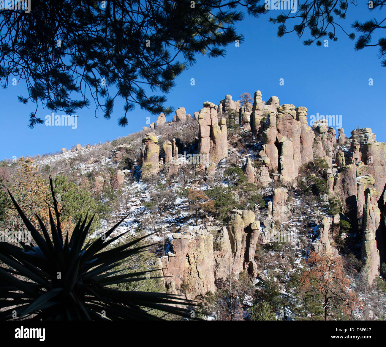 Chiricahua National Monument im winter Stockfoto