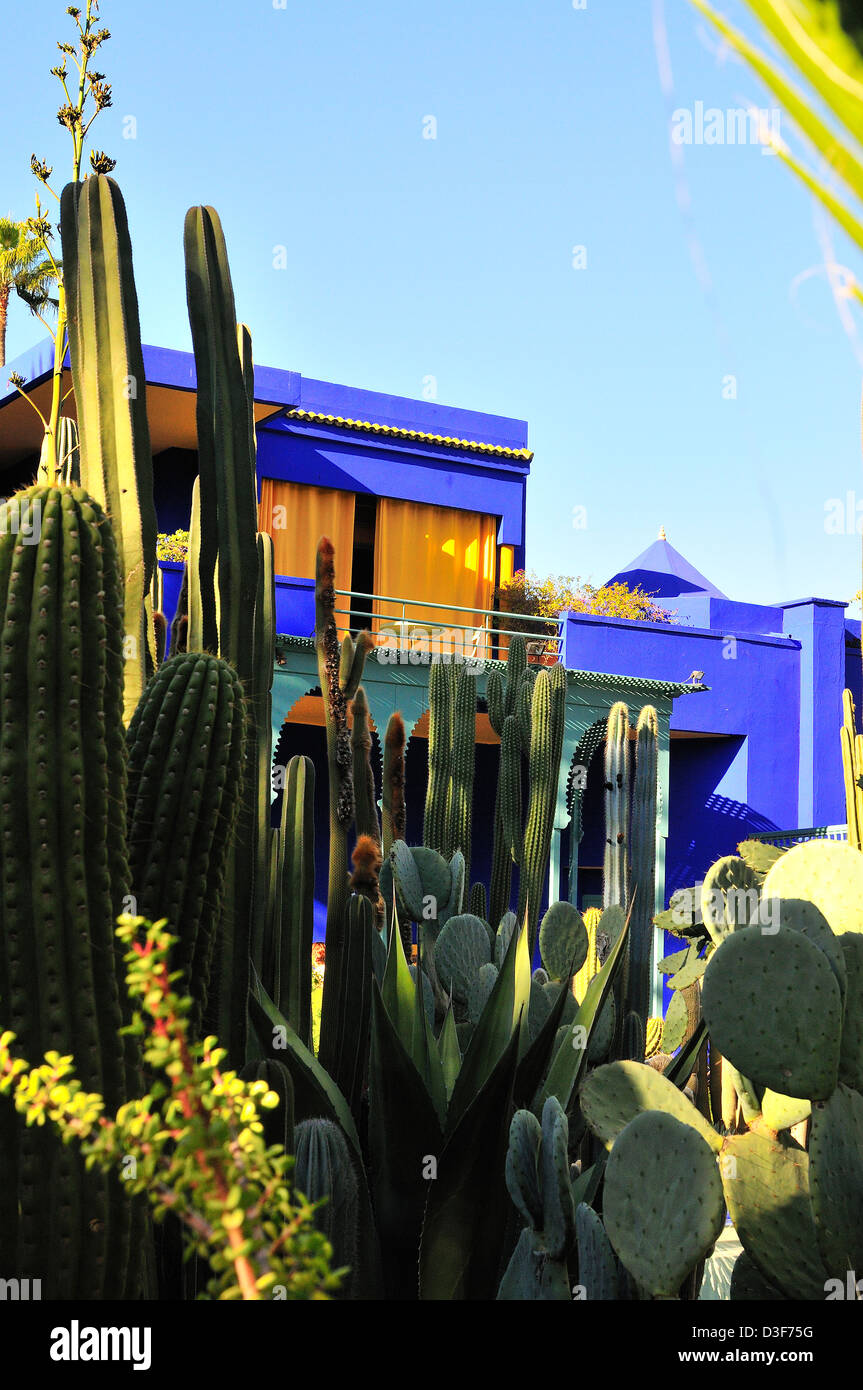 Lebendige Farben - kobalt blau und chrom gelb Kakteen Töpfe schmücken und Haus Wände an der Majorelle Garten (Jardin Majorelle Marrakesch, Marokko). Stockfoto