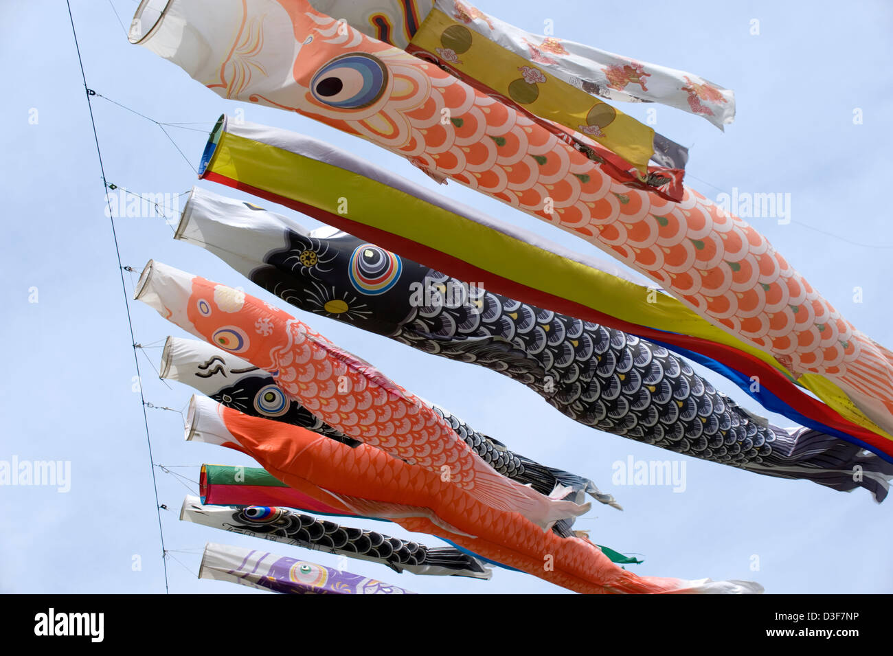 Bunte japanische Koinobori Karpfen Streamer für jedes Familienmitglied-Welle in der Sonne vor einem blauen Himmel auf Jungentag, 5. Mai. Stockfoto