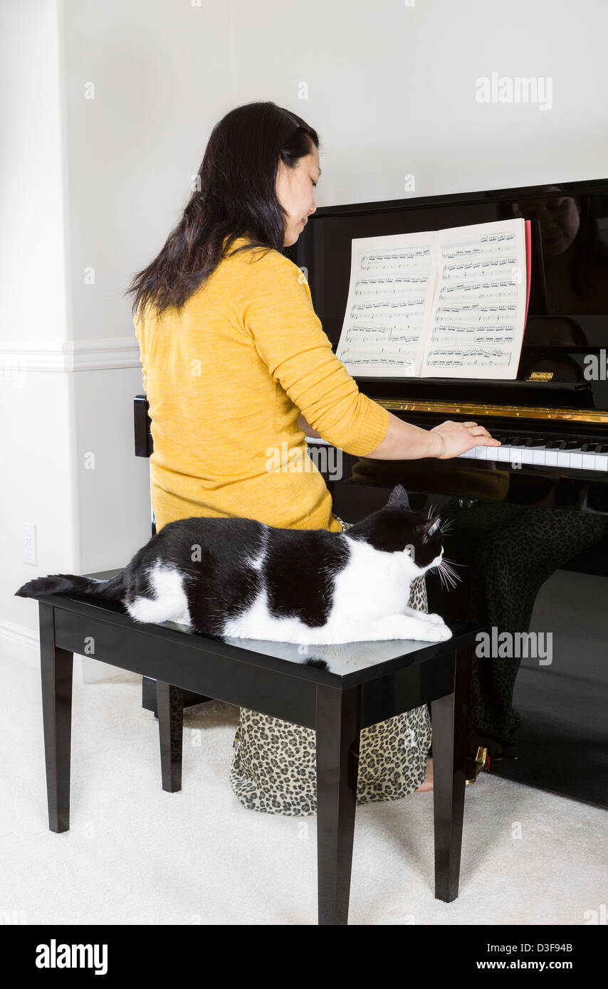 Vertikale Foto Reife Frau Klavier zu spielen, mit ihrer Familie Haustier Katze sitzt rechts neben ihrer Seite verweilt tritt Stockfoto