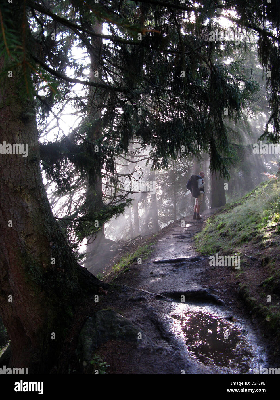 Schnalstaler, Italien, Wanderer auf dem Merano Hoehenweg Stockfoto