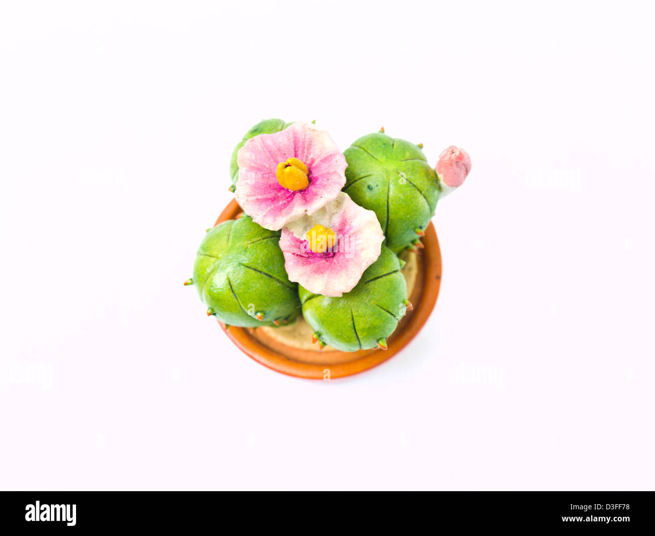 Eine Miniatur der Cactud als Symbol der trocken, Wüste Stockfoto