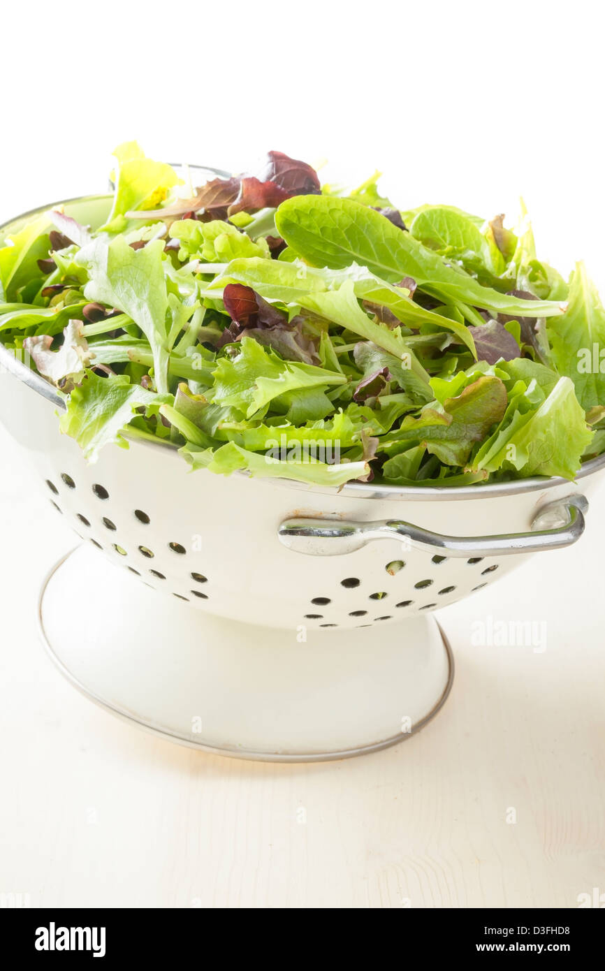 Salat Stockfoto