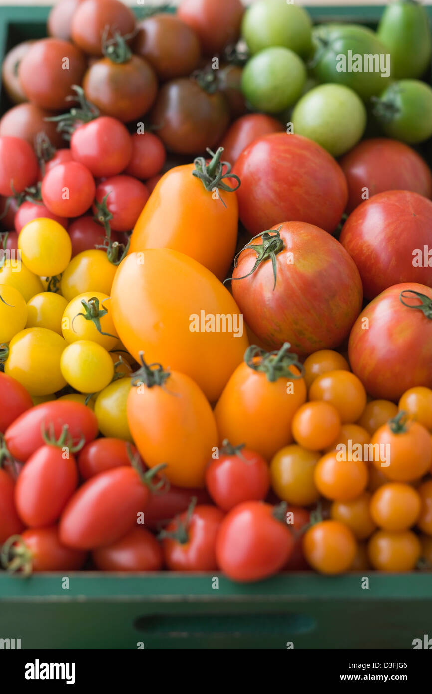 Verschiedene bunte Tomaten in Box Stockfoto