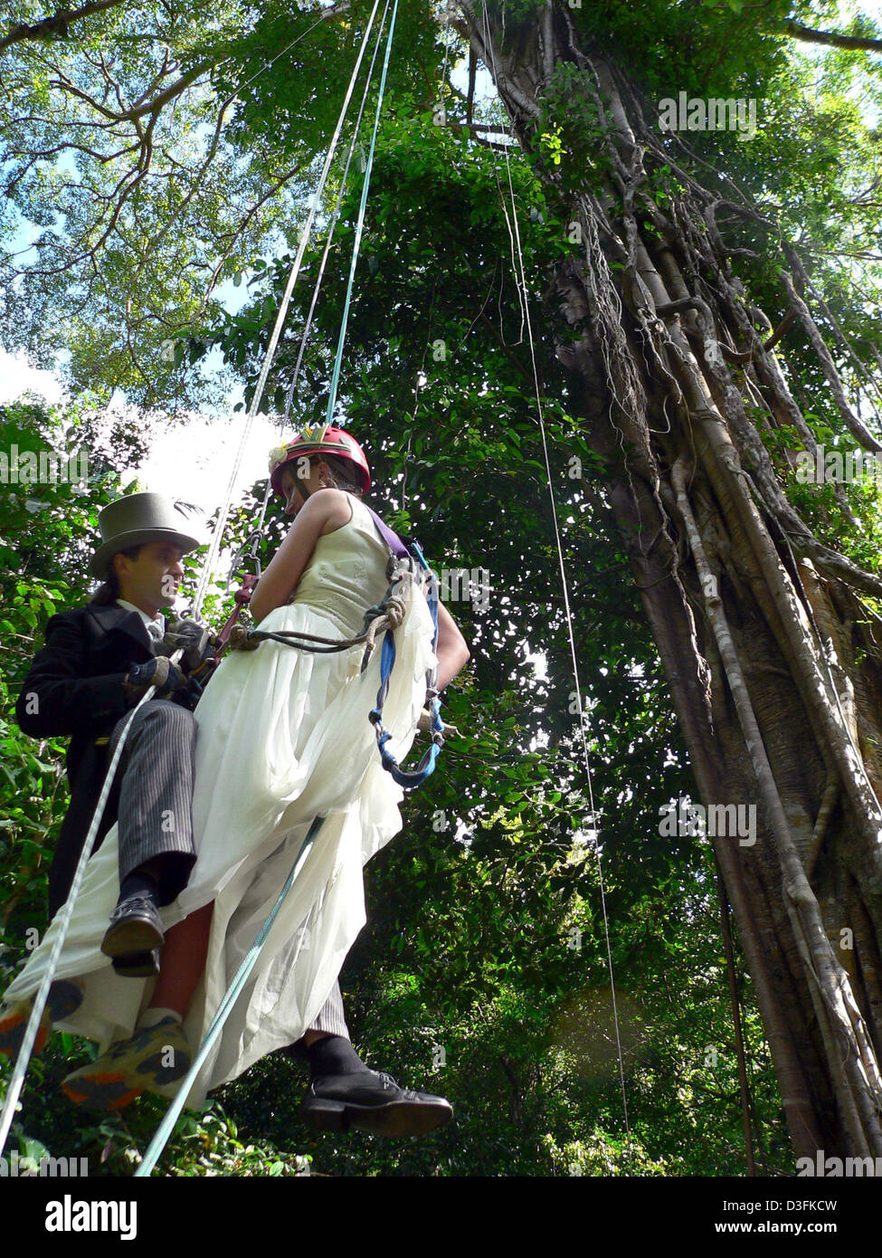 Dpa) - Baum Hochzeitspaar Anita Willner und Peter Kapica Abseilen aus einem  riesigen Fig mitten im Dschungel, wo ihre Trauung auf der Insel Lankawi,  Malaysia, 4. Dezember 2004 stattfand. Das Paar aus