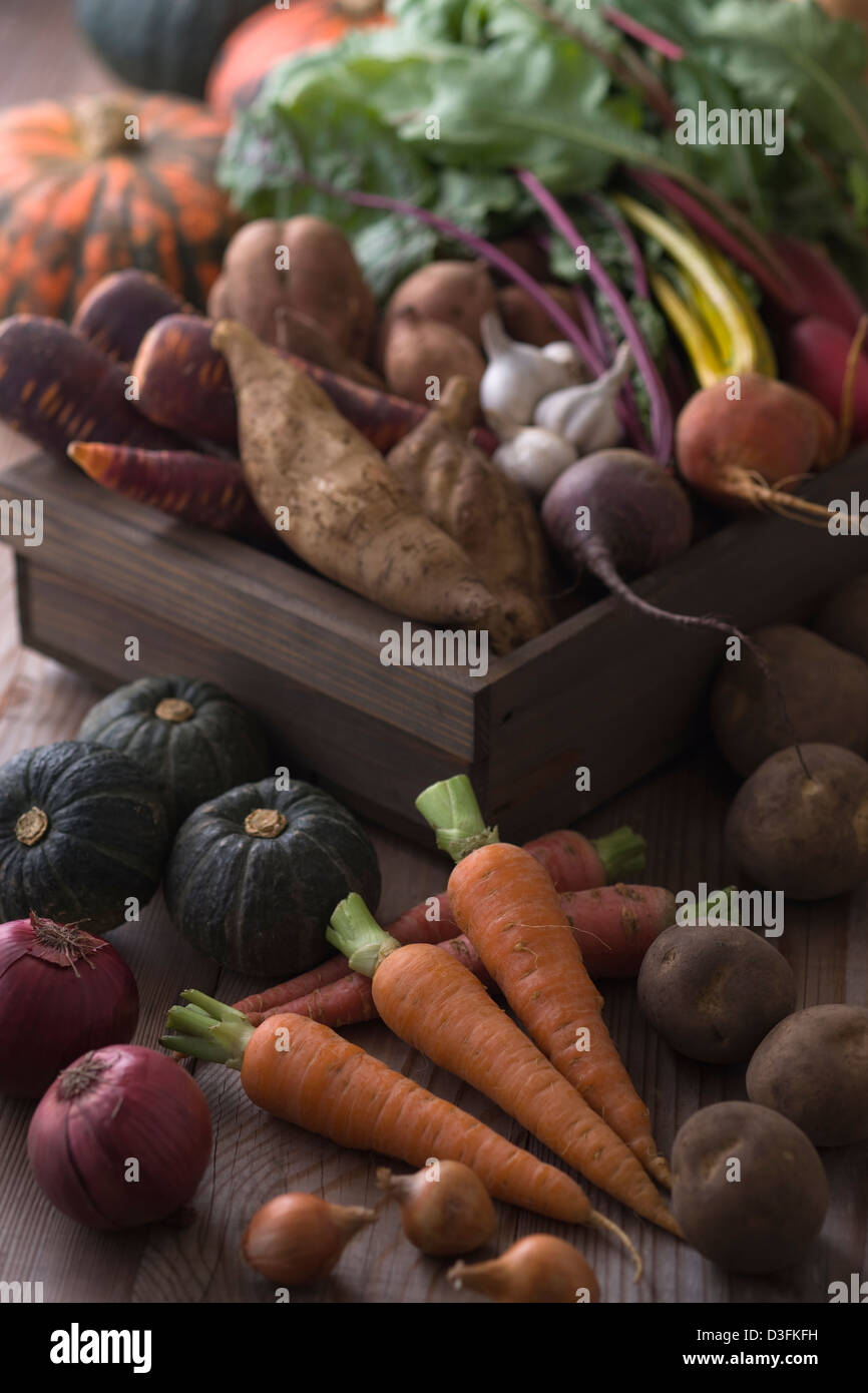 Verschiedene bunte Gemüse mit Schlamm Stockfoto
