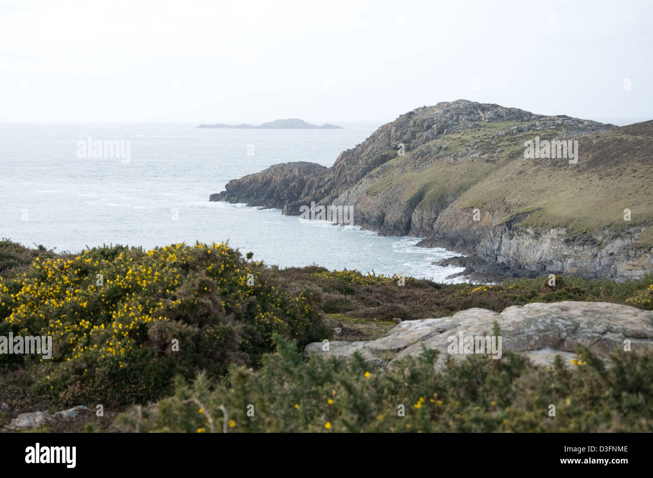 Die Welsh Coastal Path in der Nähe Whitesands in Pembrokeshire Stockfoto