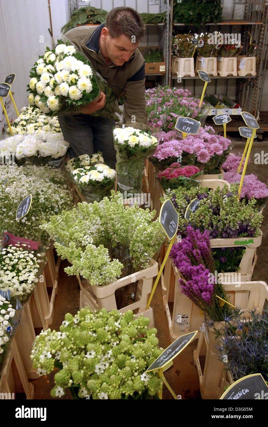 (Dpa) - ein Blumengeschäft ordnet die Blumen in seinem Laden in Markkleeberg bei Leipzig, 27. Januar 2003. Im Bemühen um die Wiederherstellung der öffentlichen Finanzen hält die Regierung die Mehrwertsteuer für Schnittblumen von 7 Prozent auf 16 Prozent zu erhöhen. Stockfoto