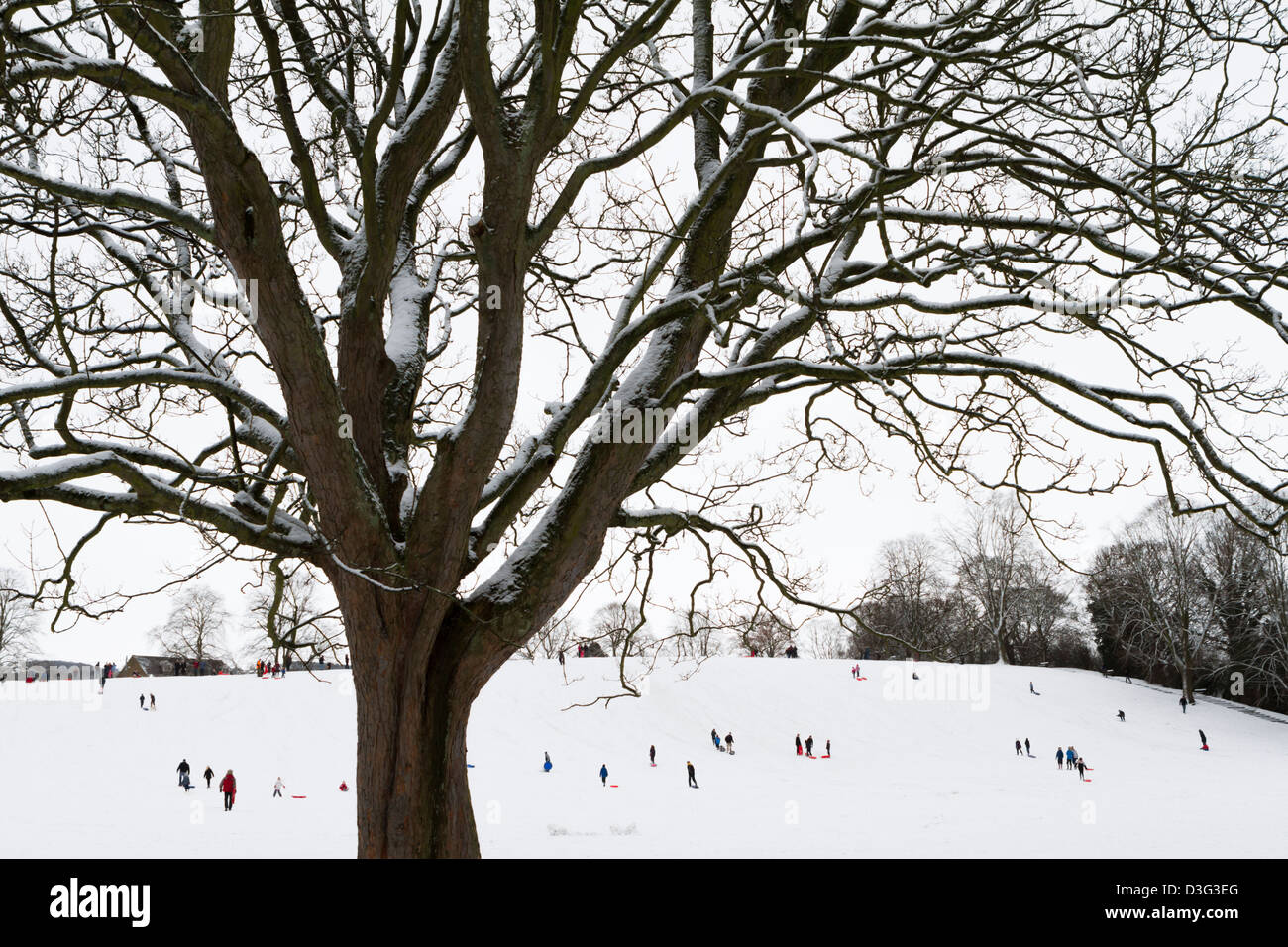 Menschen, die in der Sele, einem Park im Zentrum von Hexham, Northumberland, England Rodeln Stockfoto