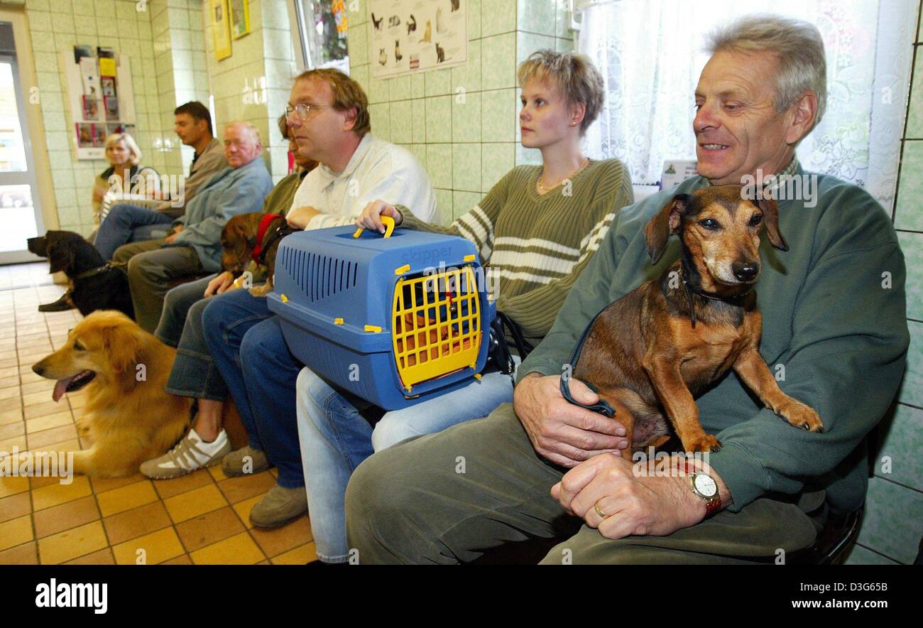 (Dpa) - Haustier-Besitzer und ihre Haustiere im Wartezimmer sitzen und warten, bis die Reihe an die Tierklinik in Magdeburg, Deutschland, 30. September 2003. Das Krankenhaus besteht seit 1971 und beschäftigt 18 Mitarbeiter, davon sind acht Tierärzte. Alle Arten von Tieren werden von kleinen Mäusen zu ausgewachsenen Löwen im Krankenhaus behandelt. Allerdings sind die meisten Tiere Haustiere wie Hunde, Katzen ein Stockfoto