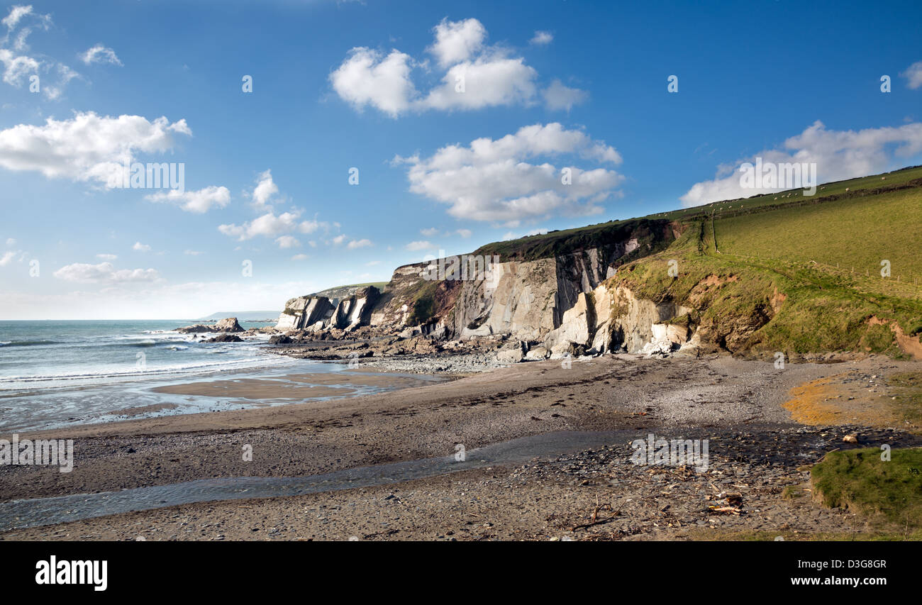 Der Strand und Klippen der Ayrmer-Bucht im Süden von Devon Uk Stockfoto
