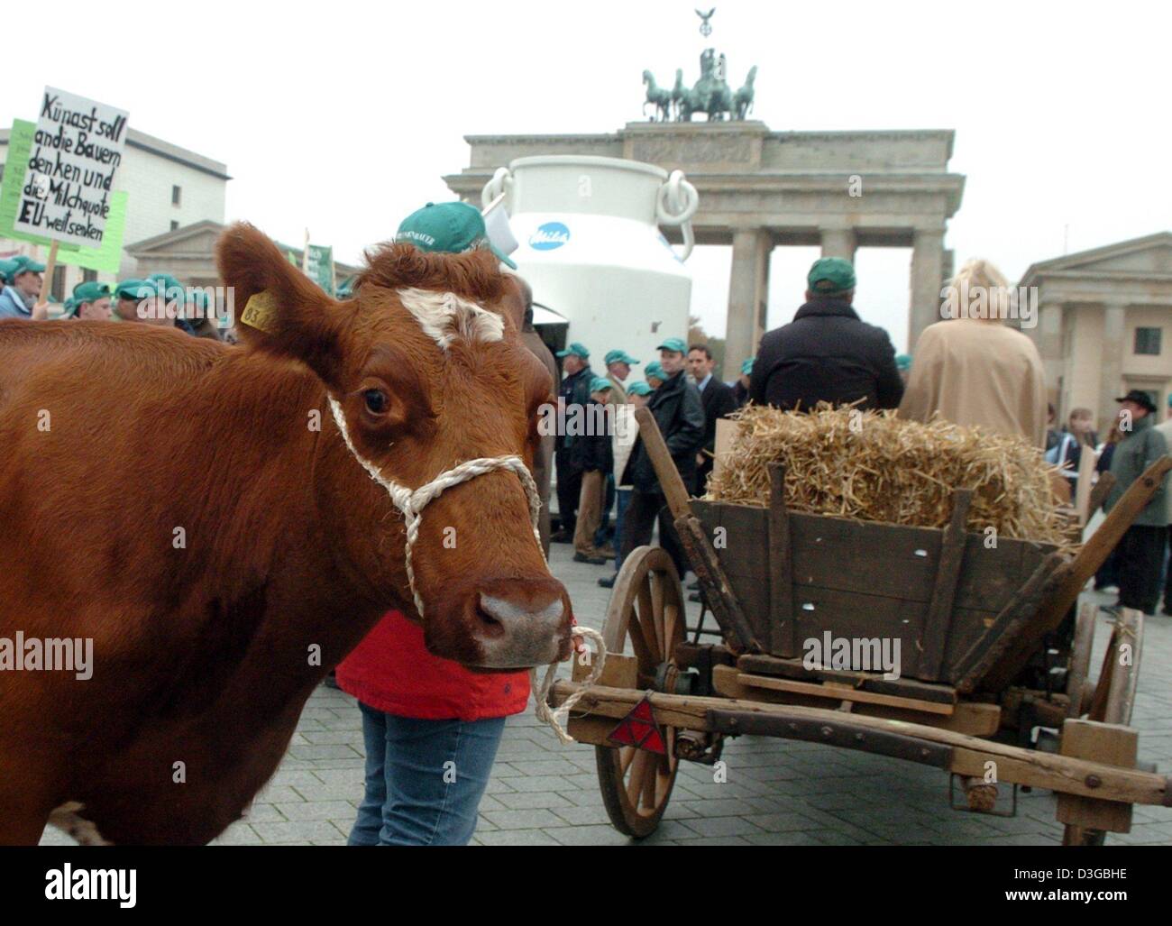 (Dpa) - Landwirte aus dem Bundesland Hessen protestieren gegen niedrige Milchpreise mit Kühen vor dem Brandenburger Tor in Berlin, Deutschland, 28. Oktober 2004. Die Demonstranten fordern eine Reduzierung der europaweiten Milchquote um Überproduktion zu stoppen. Nach der Demonstranten gefährden die niedrigen Preise der Lebensunterhalt von vielen Milchbauern. Stockfoto