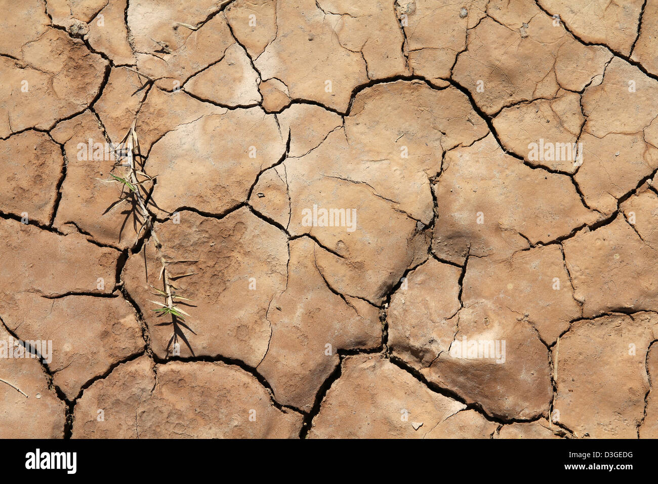 Treibhauseffekt und globale Erwärmung - trockenen rissigen Boden in Kuba Stockfoto
