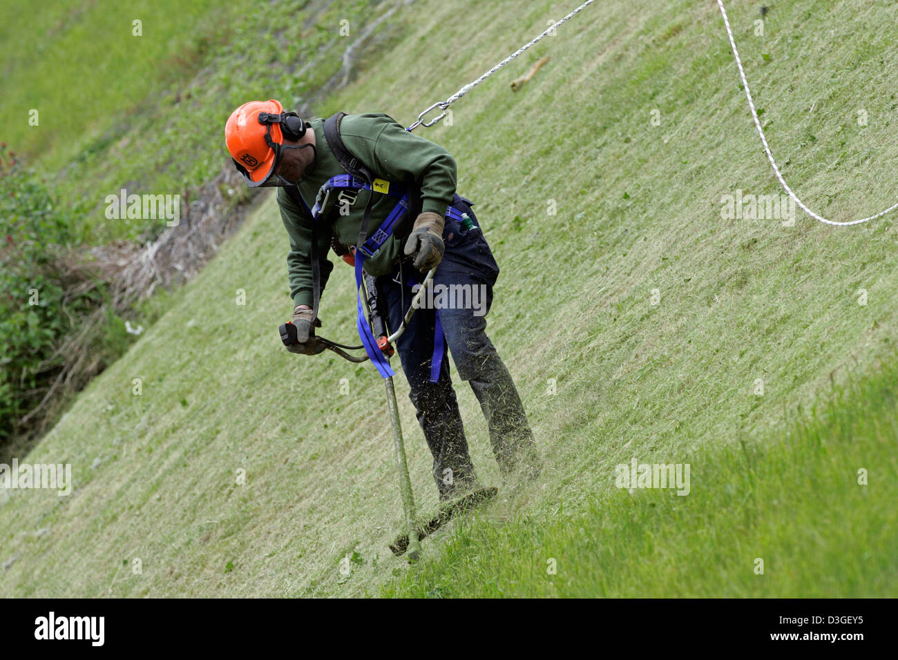 Ein Arbeiter schneidet Rasen auf den steilen Hang von Castle Rock, Edinburgh, mit Hilfe von einem Geschirr Stockfoto