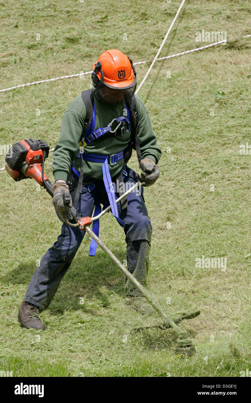 Ein Arbeiter schneidet Rasen auf den steilen Hang von Castle Rock, Edinburgh, mit Hilfe von einem Geschirr Stockfoto