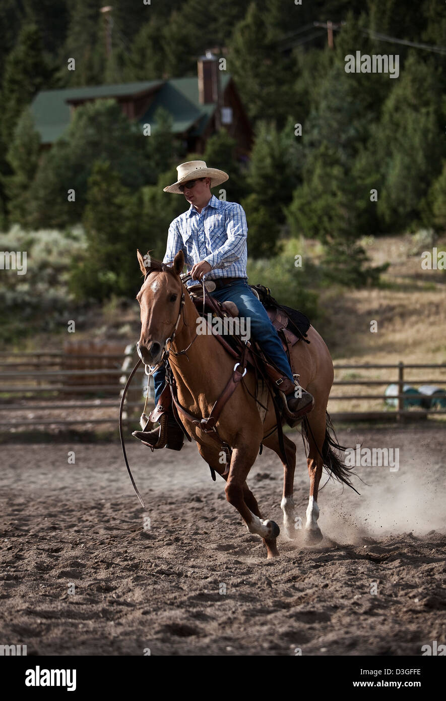 Cowboy Wrangler Reiten in Ranch, Montana USA Stockfoto