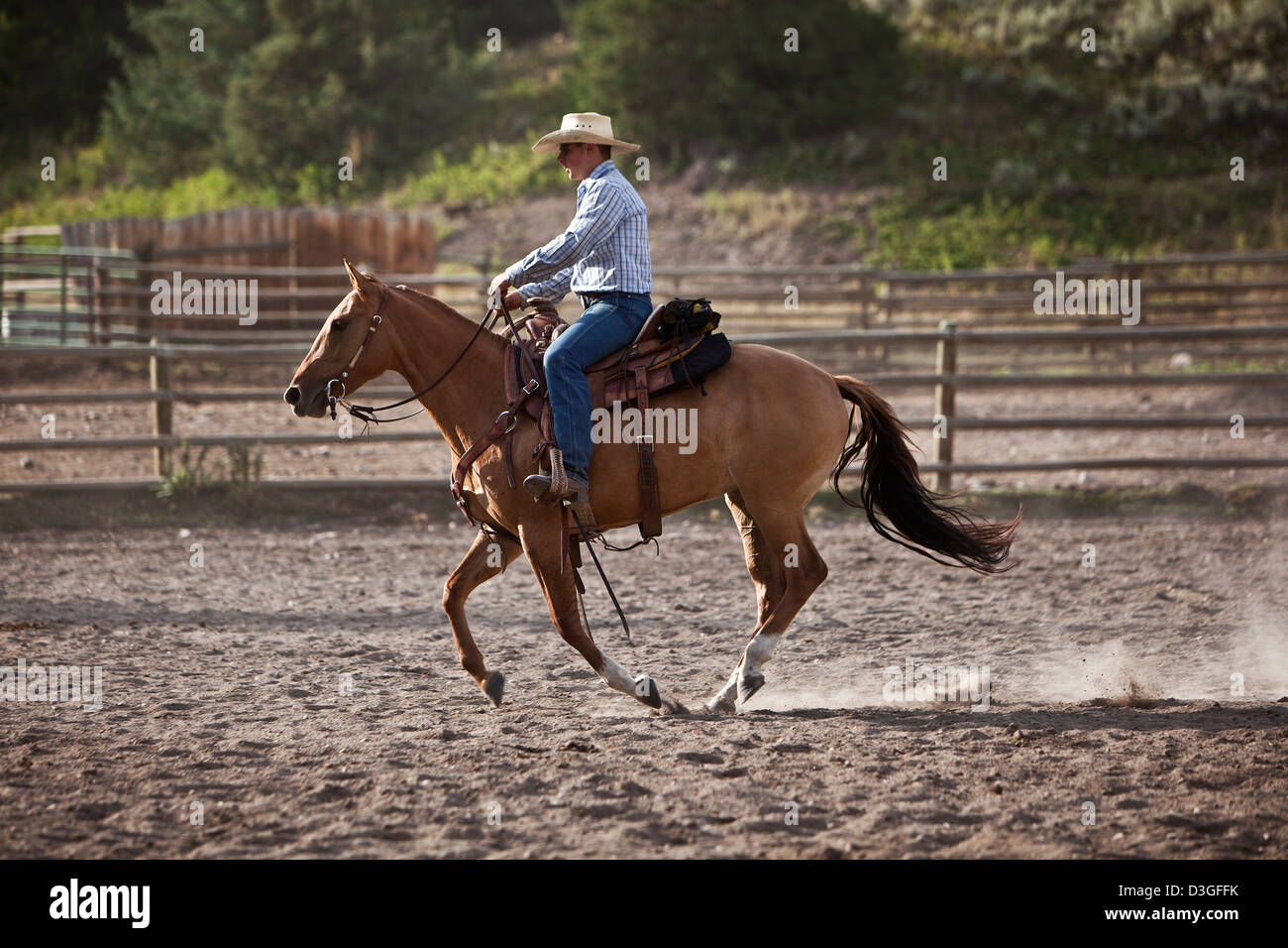 Cowboy Wrangler Reiten in Ranch, Montana USA Stockfoto