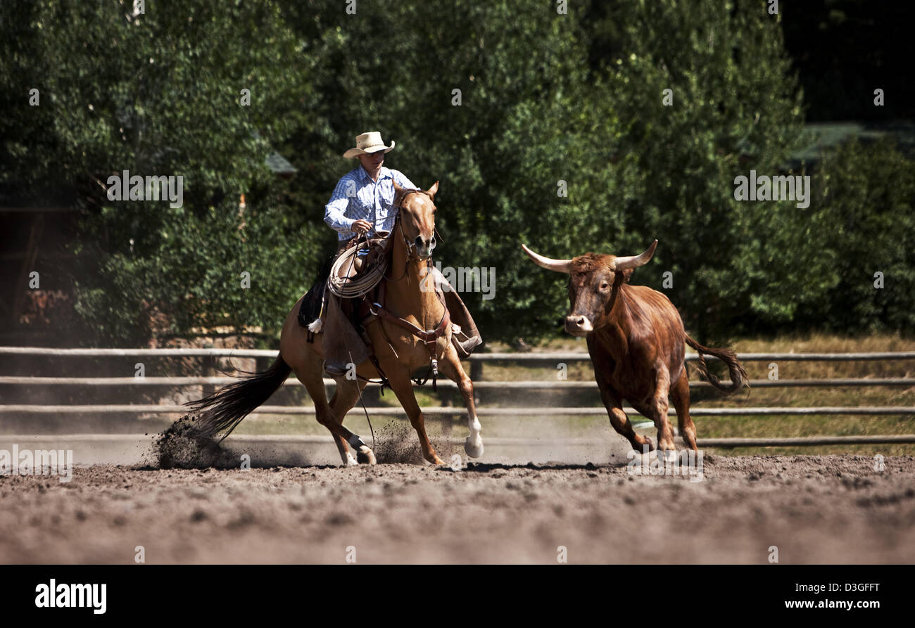 Cowboy Wrangler Corral, Viehzucht, Vieh einziehen Montana USA Stockfoto