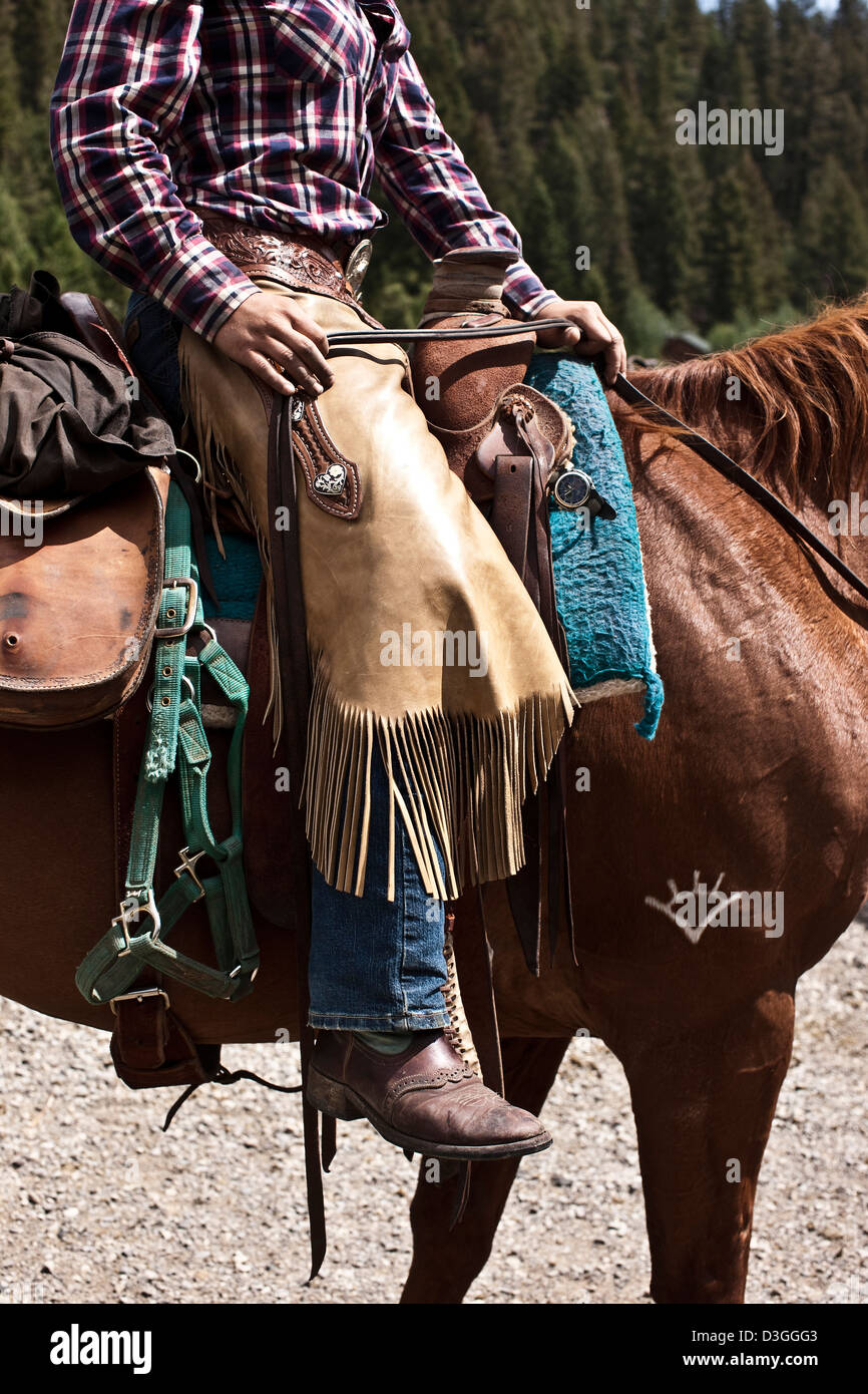 Wrangler Cowboy auf Pferd in Chaps, Montana, USA Stockfoto