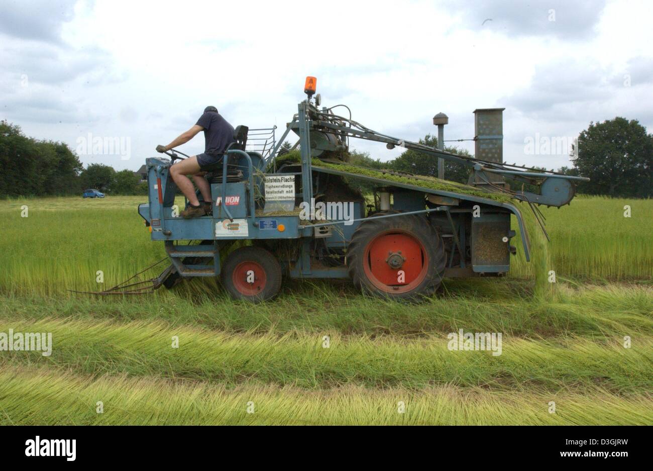 (Dpa) - Jens Johannsen, Mitarbeiter in Deutschlands nur Flachs Aufbereitungsanlage, sitzt auf einem belgischen Flachs-Greifer-Maschine Ernte Flachs auf einer 27 Hektar großen Anbaugebiet in der Nähe von Bad Segeberg, Deutschland, 20. Juli 2004. Ein Ballen von 200 Kilogramm des geschichtsträchtigen Flachs kostet ca. 60 Euro zum Verkauf, wo da das fertige verarbeitet Flachs, die für Kleidung aus Leinen verwendet wird, auf Verkauf für Ar ist Stockfoto