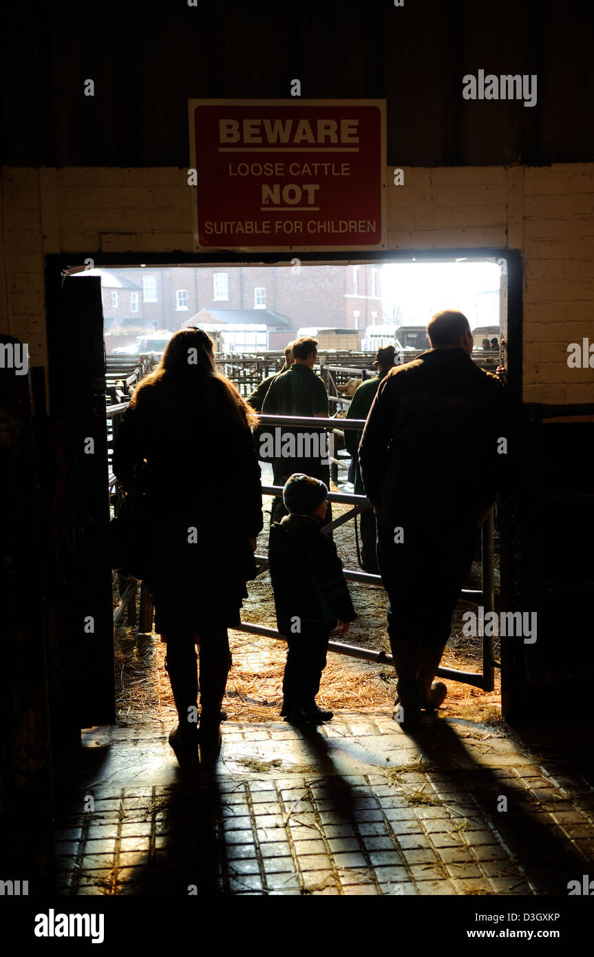 Melton Mowbray Viehmarkt, Leicestershire England.Beaware lose Rinder-Zeichens. Stockfoto