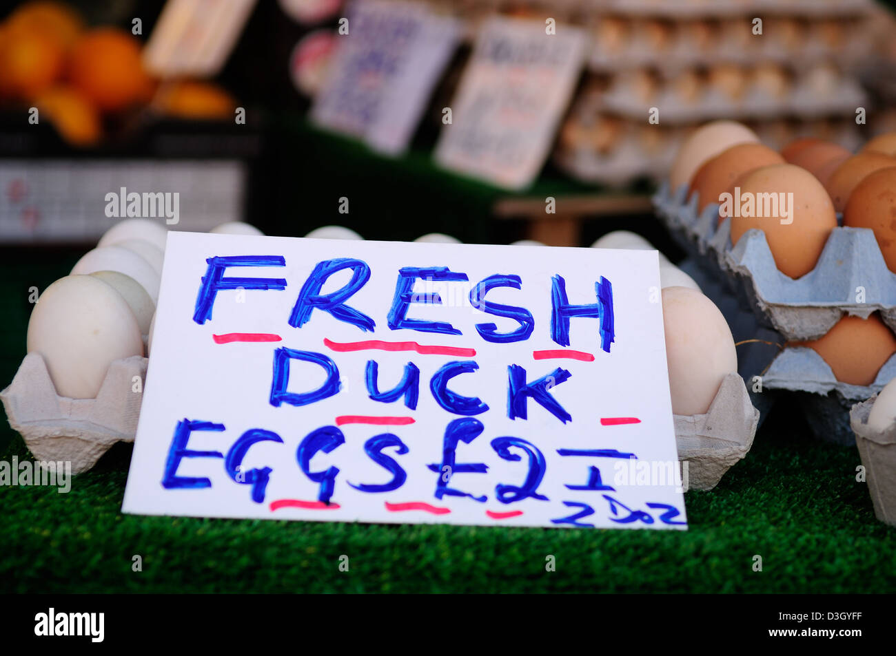 Rinder Markt Melton Mowbray, Leicestershire jeden Tuesday.Fresh Enten-Eiern. Stockfoto