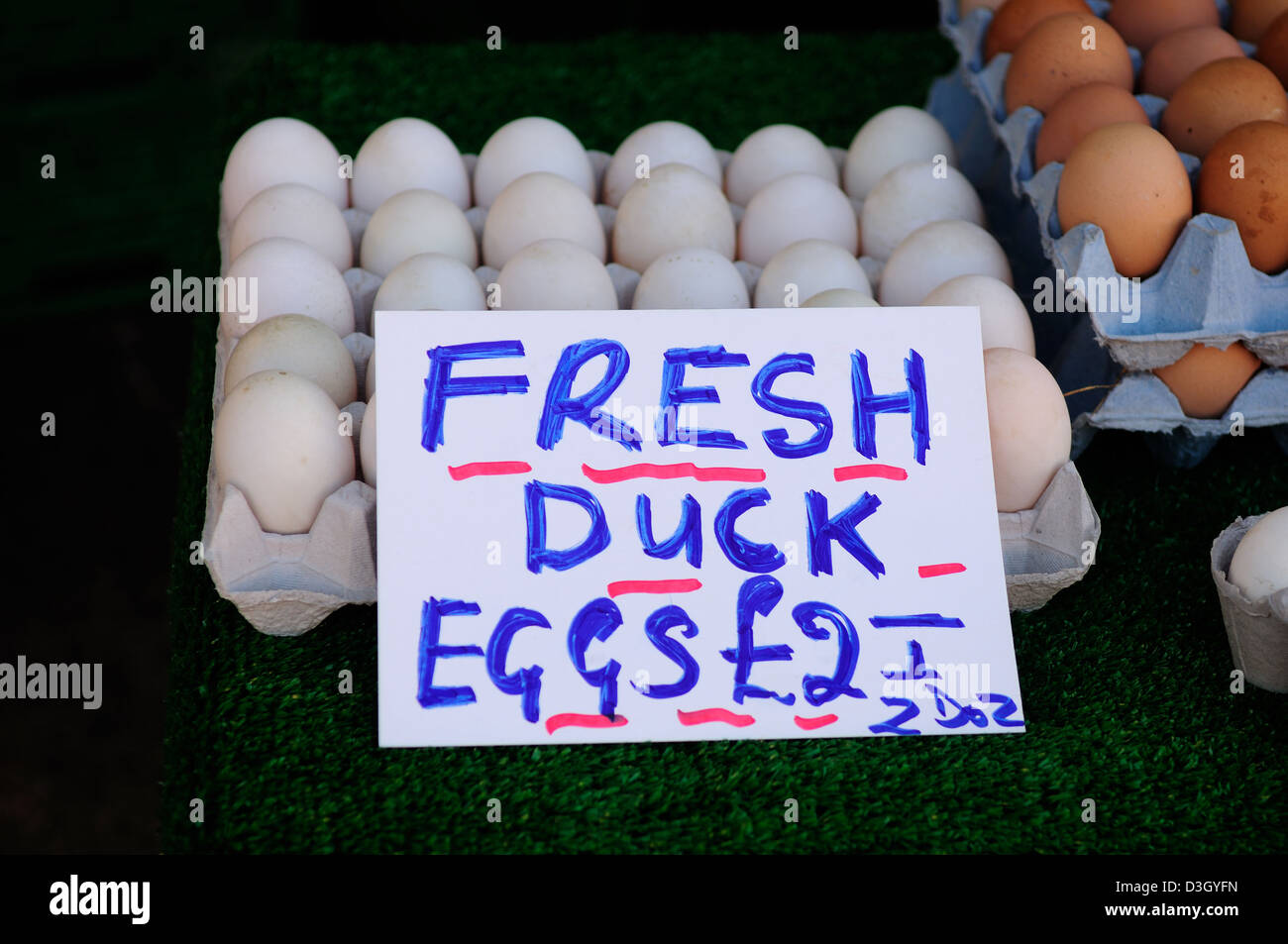 Rinder Markt Melton Mowbray, Leicestershire jeden Tuesday.Fresh Eiern. Stockfoto