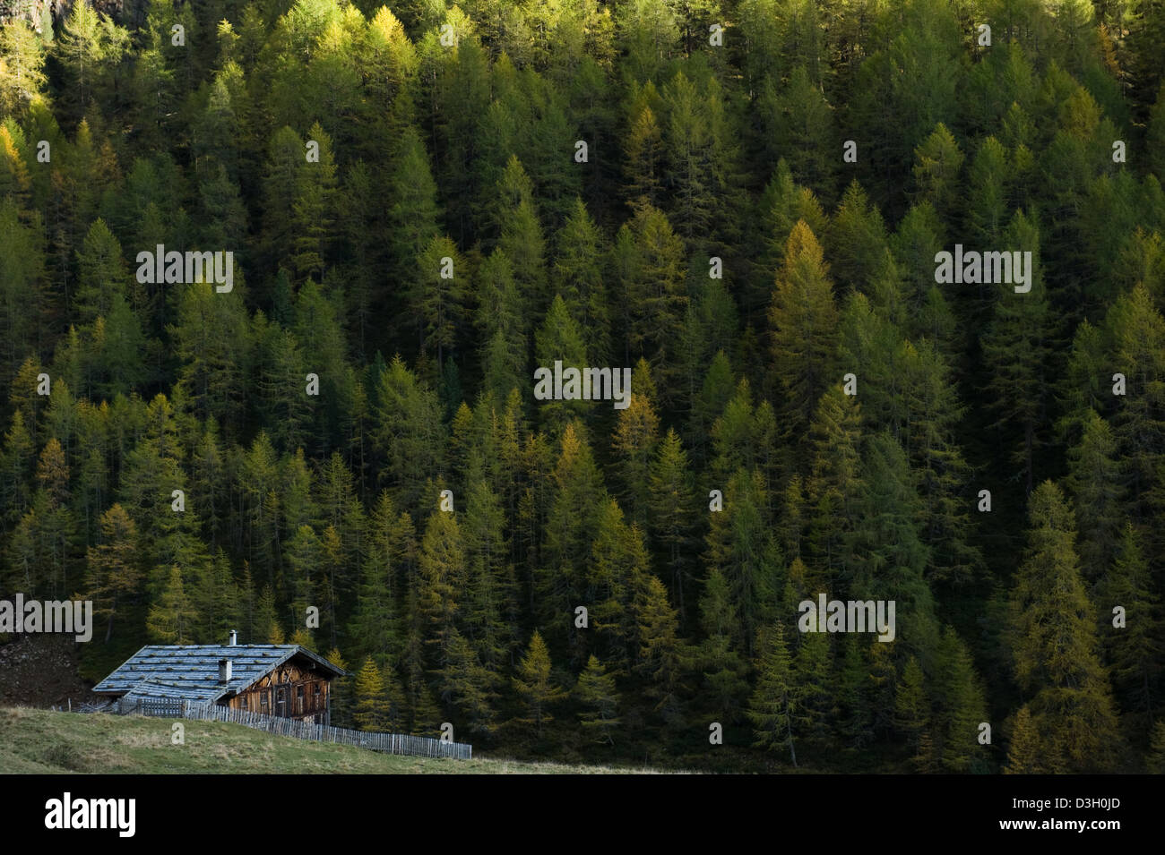 Val Schnalstaler, Italien, Rableid Alm im Pfossental Stockfoto