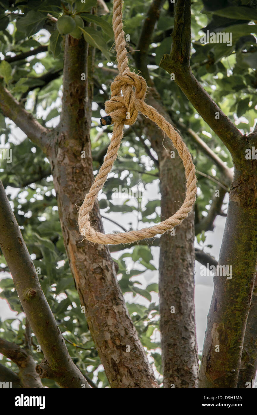 Eine Schlinge hängt von einem Apfelbaum in einem Garten. Stockfoto