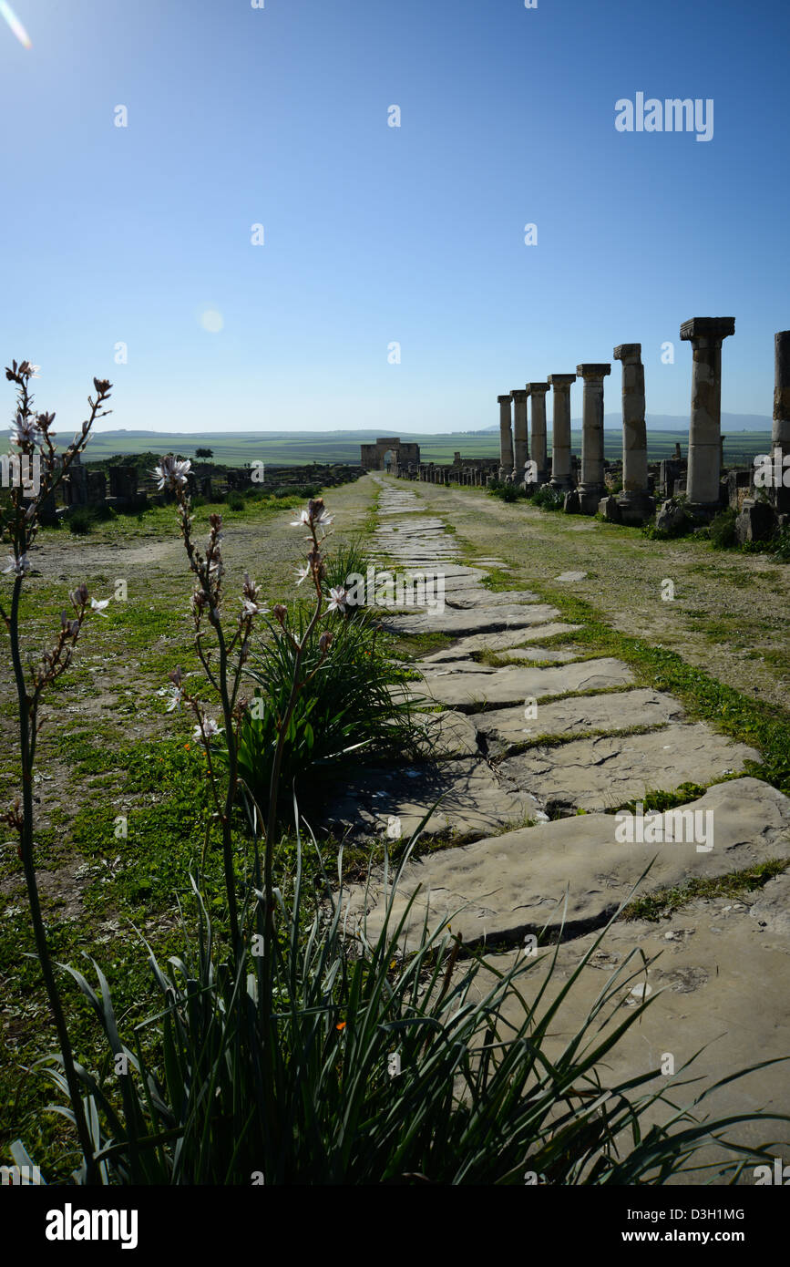 Triumphbogen in Volubilis, die antike römische Stadt in Marokko Stockfoto