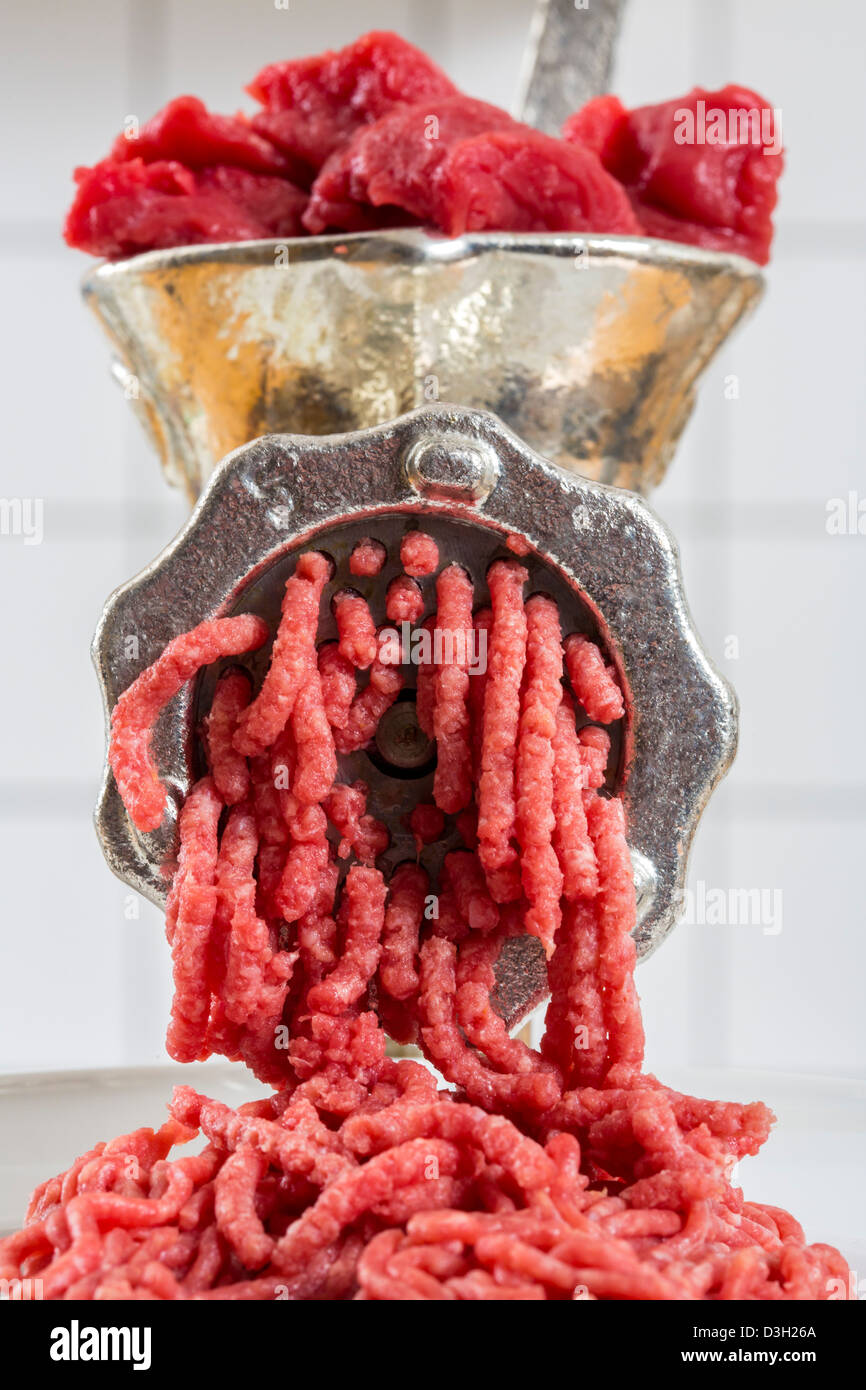 Fleischwolf. Küchenhelfer zum Zerkleinern Fleisch. Stockfoto