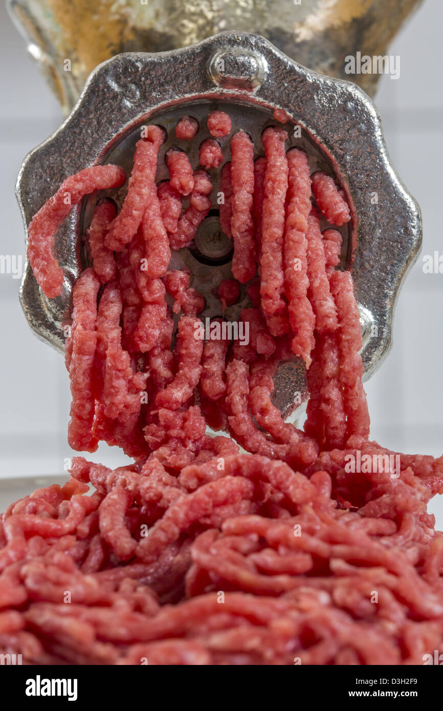 Fleischwolf. Küchenhelfer zum Zerkleinern Fleisch. Stockfoto