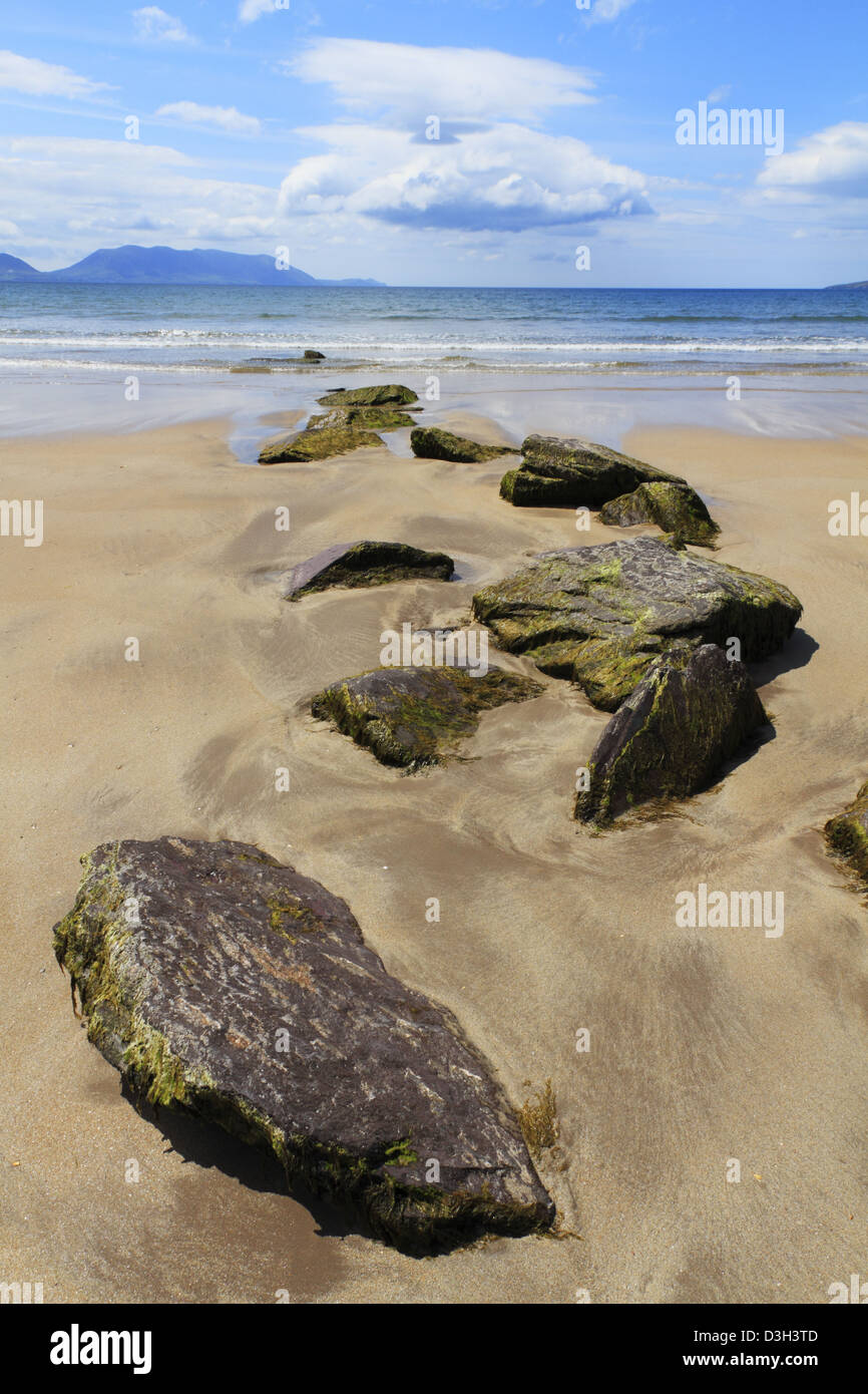 Inch Strand, der Dingle Halbinsel, Co. Kerry, Irland Stockfoto