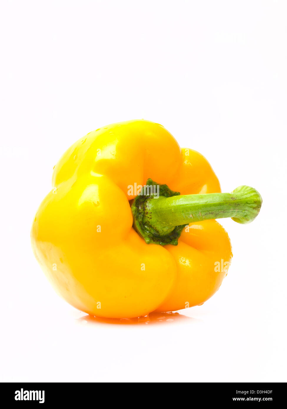Frische gelbe Paprika, Capsicum Annuum, isoliert auf weißem Hintergrund Stockfoto