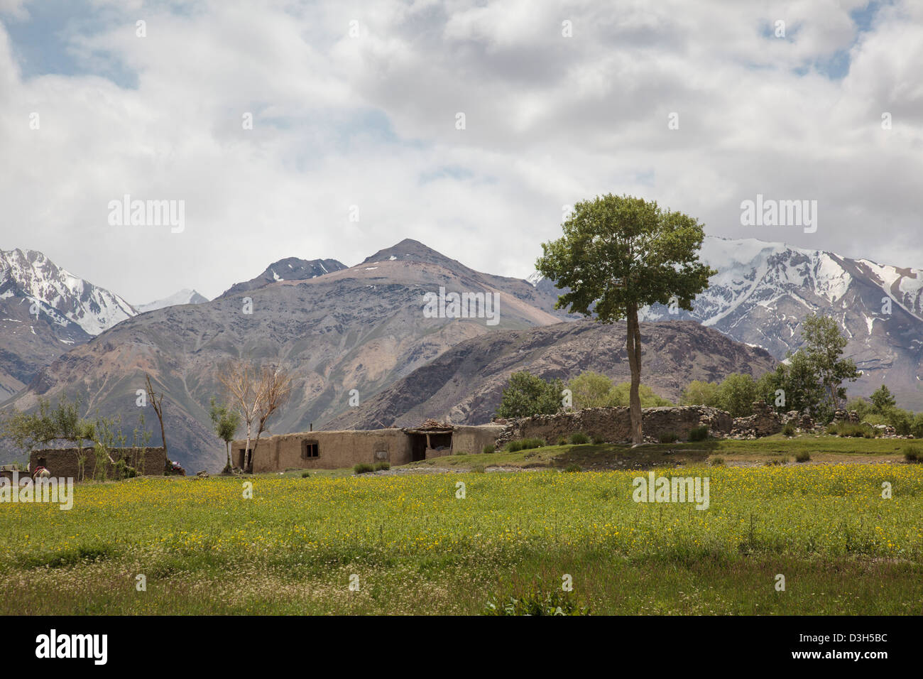 Sarhad-e-Broghil Landschaft mit Raps Blumen in den Wakhan-Korridor, Badakhshan, Afghanistan Stockfoto
