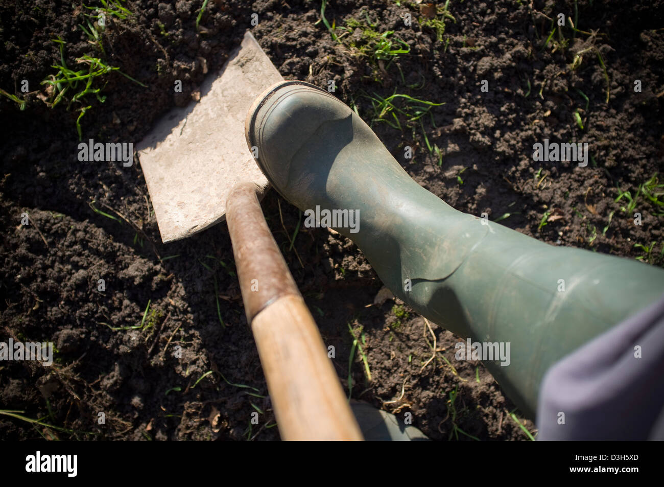 Graben und bereitet den Boden-Boden für Pflanzen, Gemüse, Obst und Blumen bereit. Stockfoto