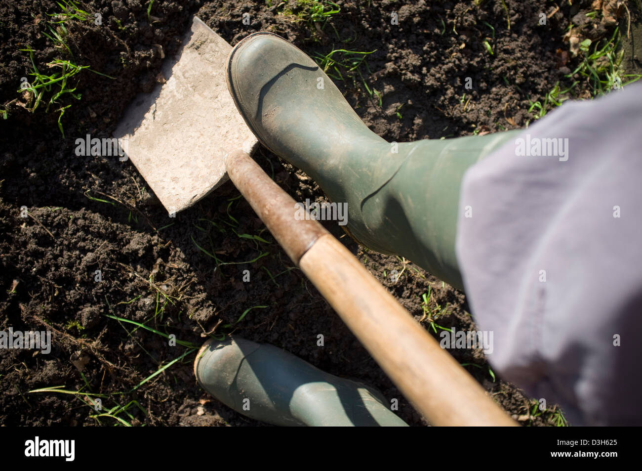 Graben und bereitet den Boden-Boden für Pflanzen, Gemüse, Obst und Blumen bereit. Stockfoto