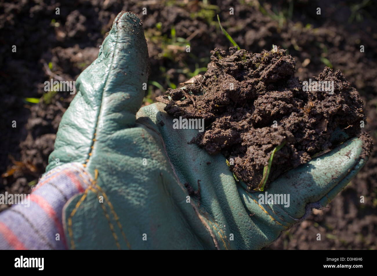 Graben und bereitet den Boden-Boden für Pflanzen, Gemüse, Obst und Blumen bereit. Stockfoto