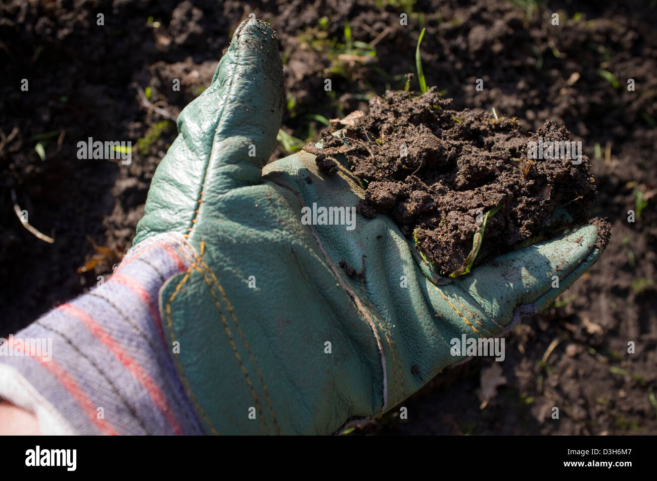 Graben und bereitet den Boden-Boden für Pflanzen, Gemüse, Obst und Blumen bereit. Stockfoto