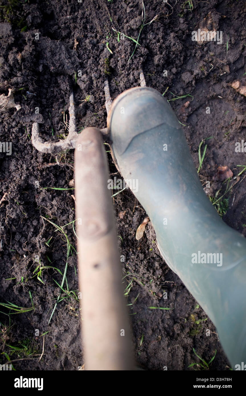 Graben und bereitet den Boden-Boden für Pflanzen, Gemüse, Obst und Blumen bereit. Stockfoto