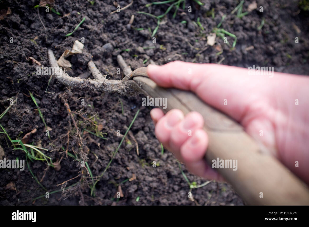 Graben und bereitet den Boden-Boden für Pflanzen, Gemüse, Obst und Blumen bereit. Stockfoto